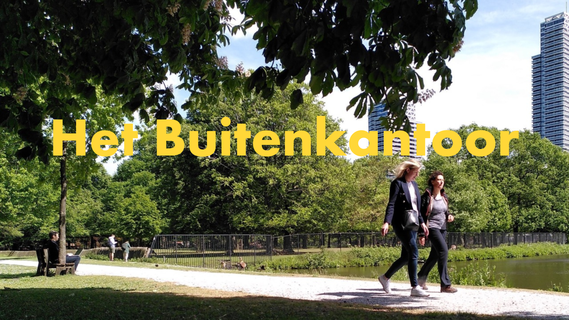 Het Buitenkantoor: de motor achter Outdoor Office Day in Den Haag