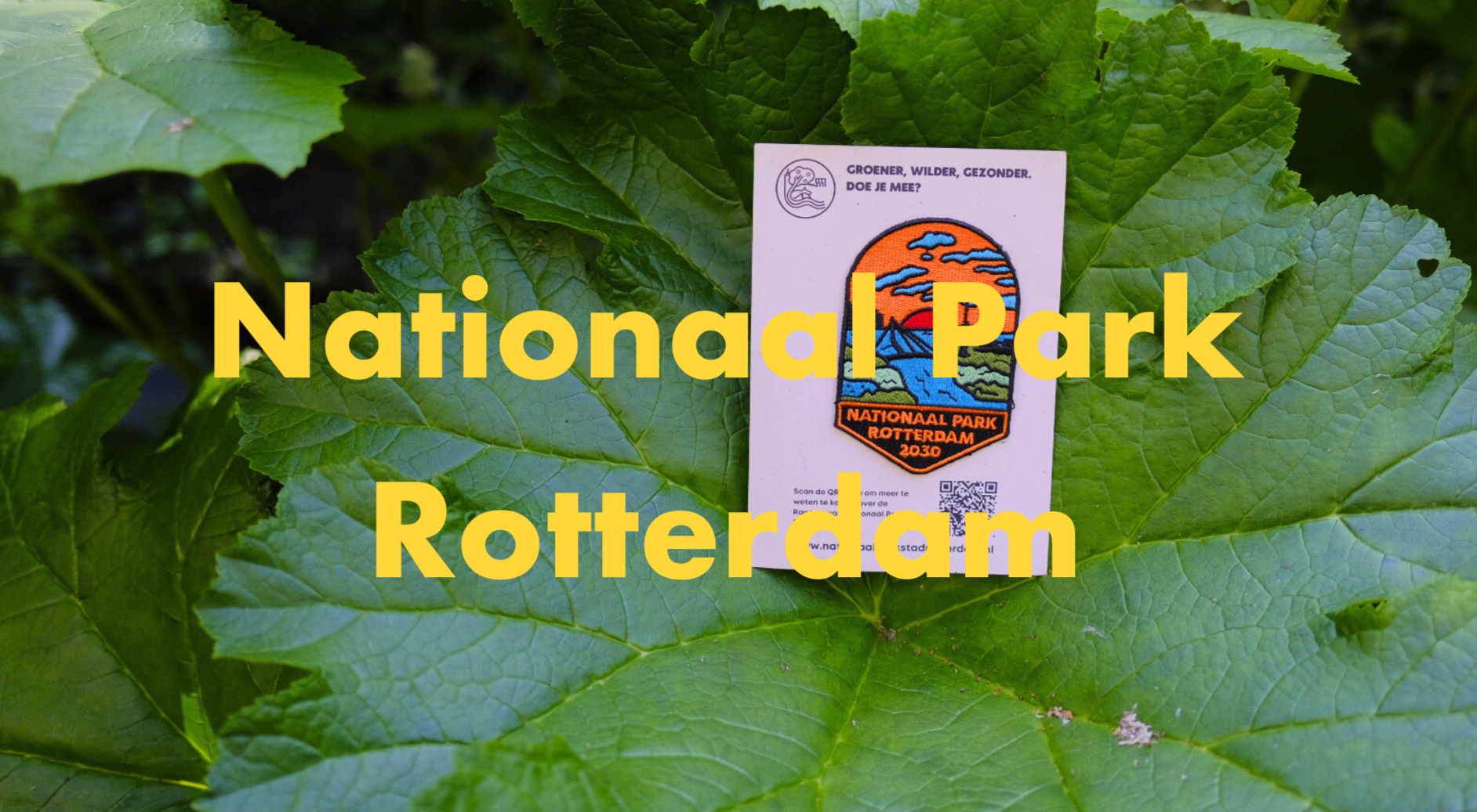 De stad als werkplek, Nationaal Park Rotterdam als jouw kantoor