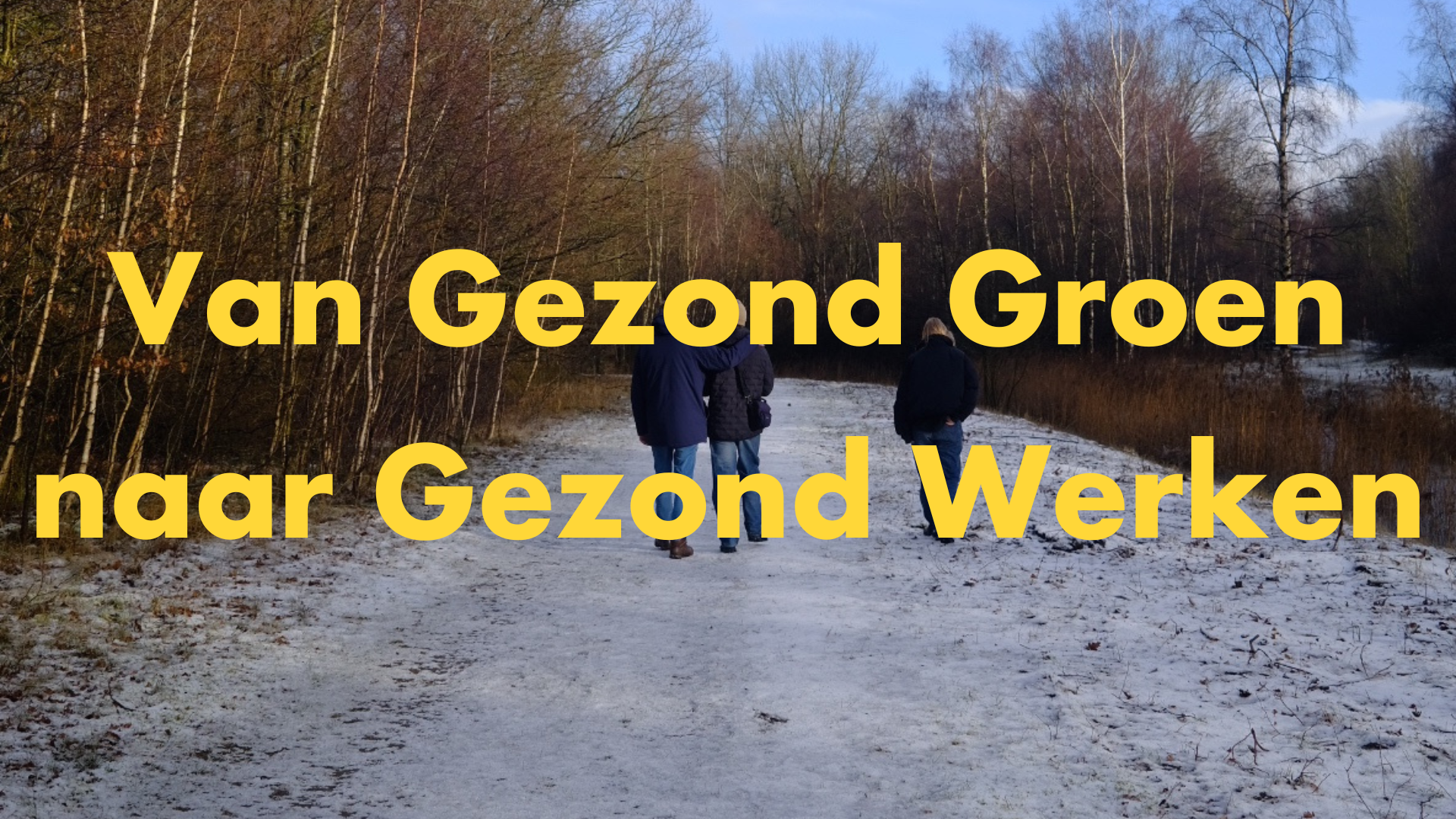Van Gezond Groen naar Gezond Werken
