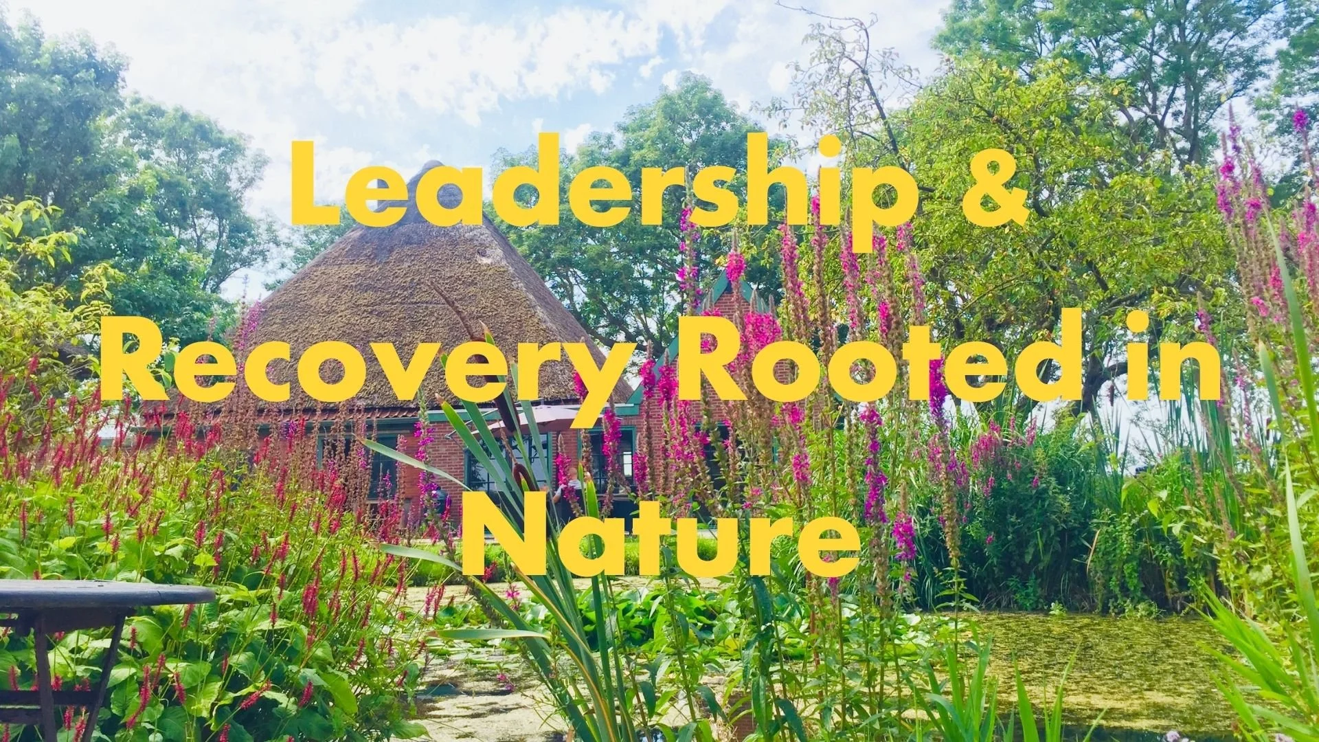 Leadership &amp; Recovery Rooted in Nature