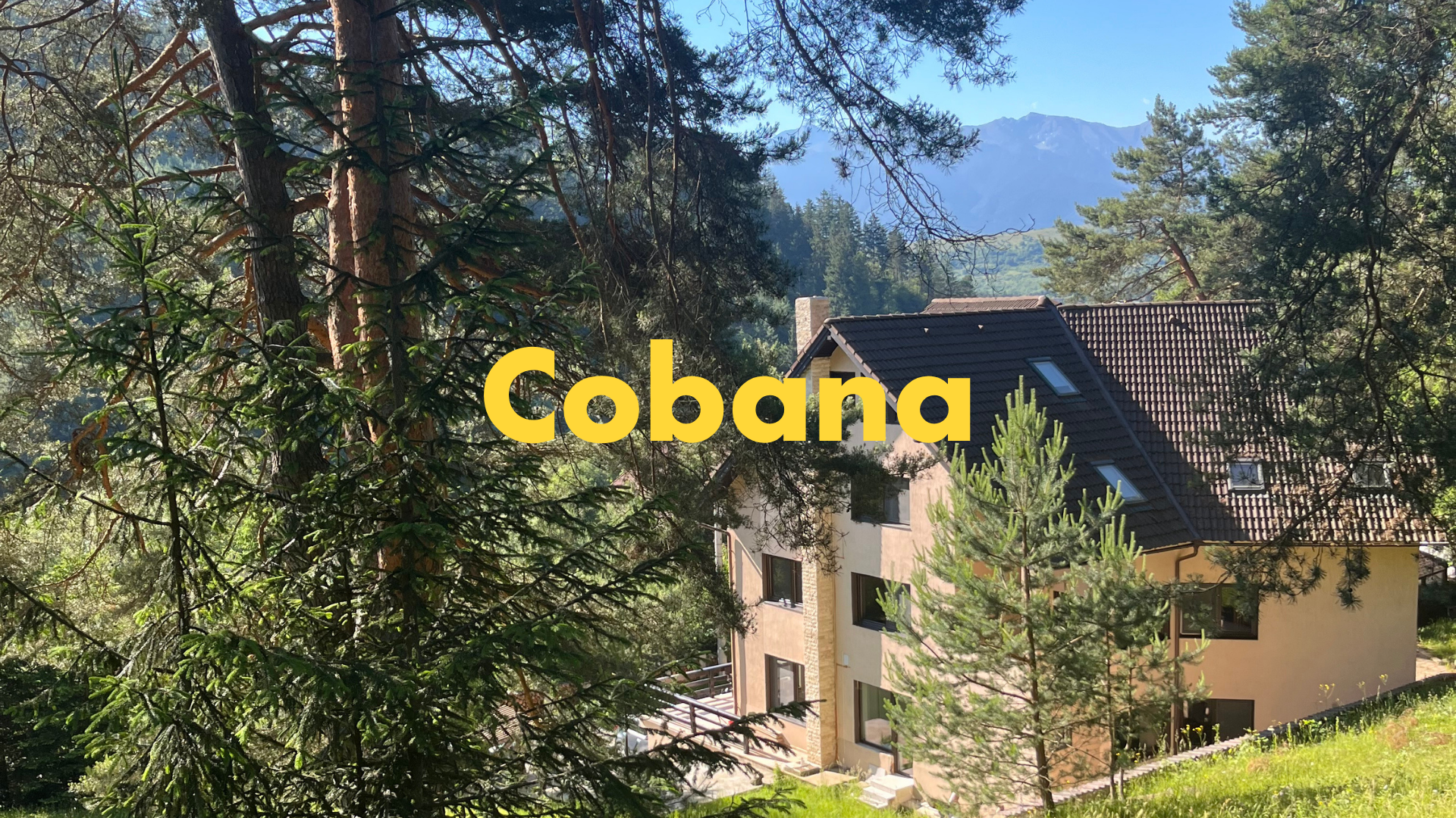 Building Regenerative Futures in Europe's Last Wilderness: An Interview with Cobana