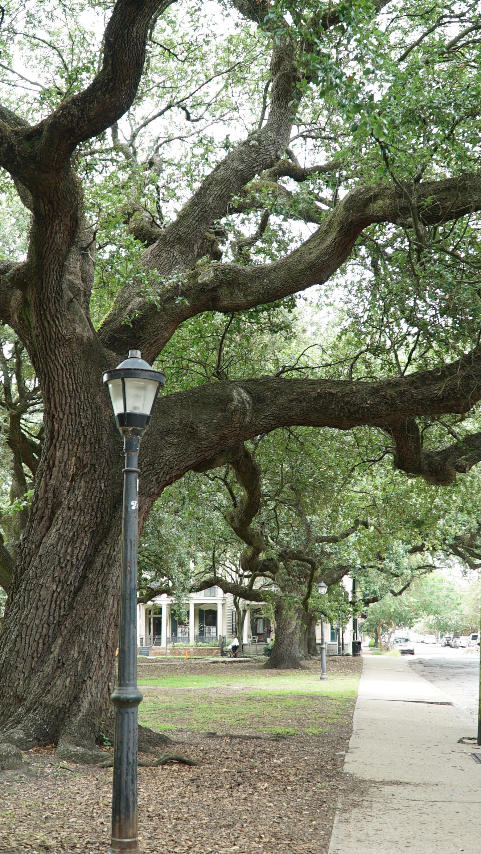 Lower Garden District: Coliseum Square Park
