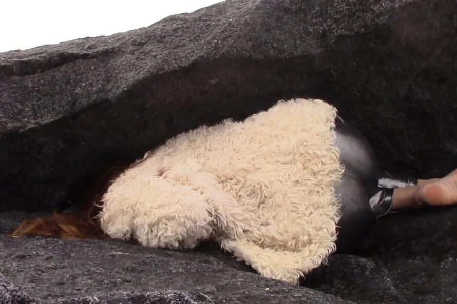 3.Gallery Cover Photo.jpg