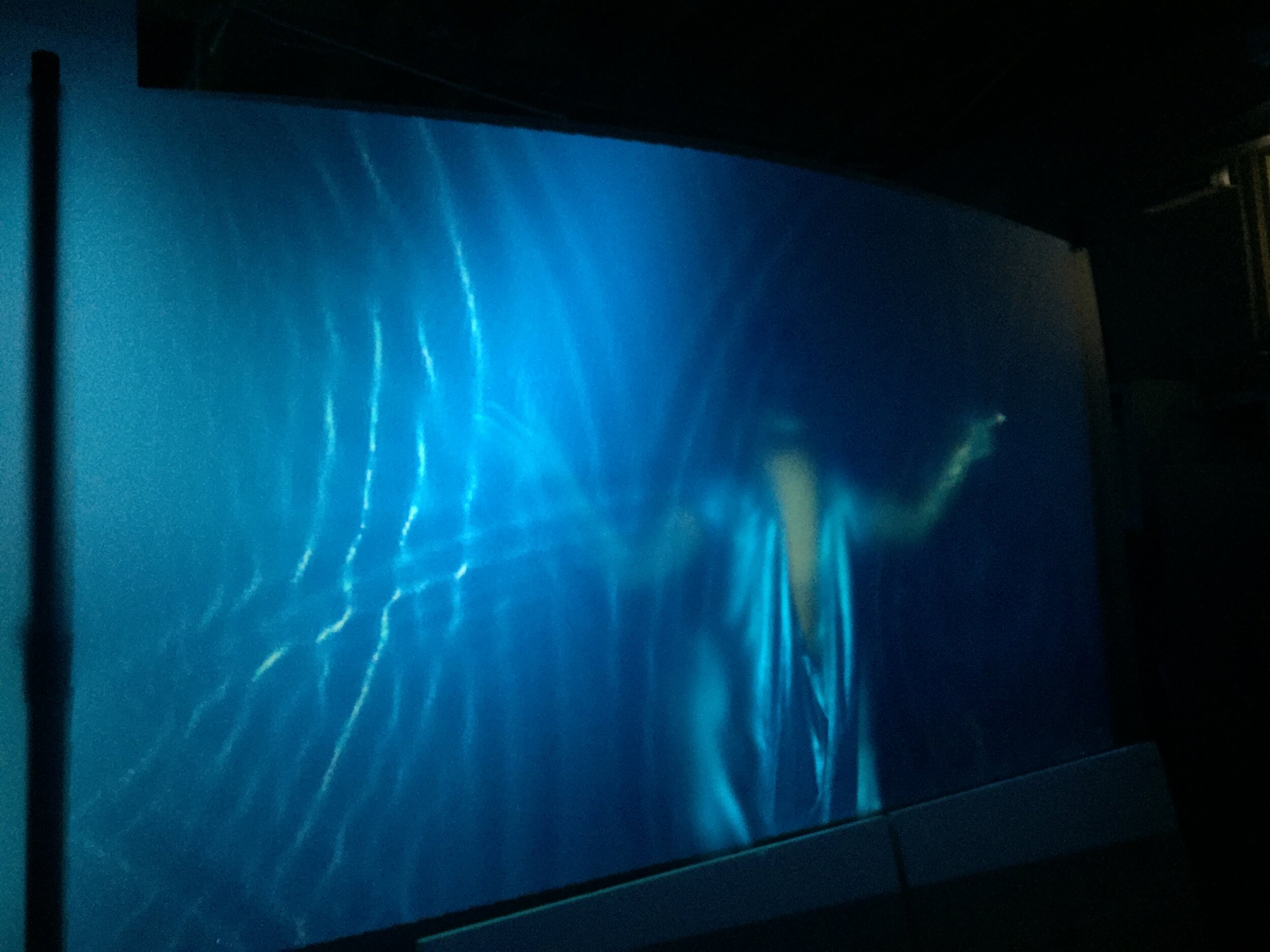 water portals 6.JPG