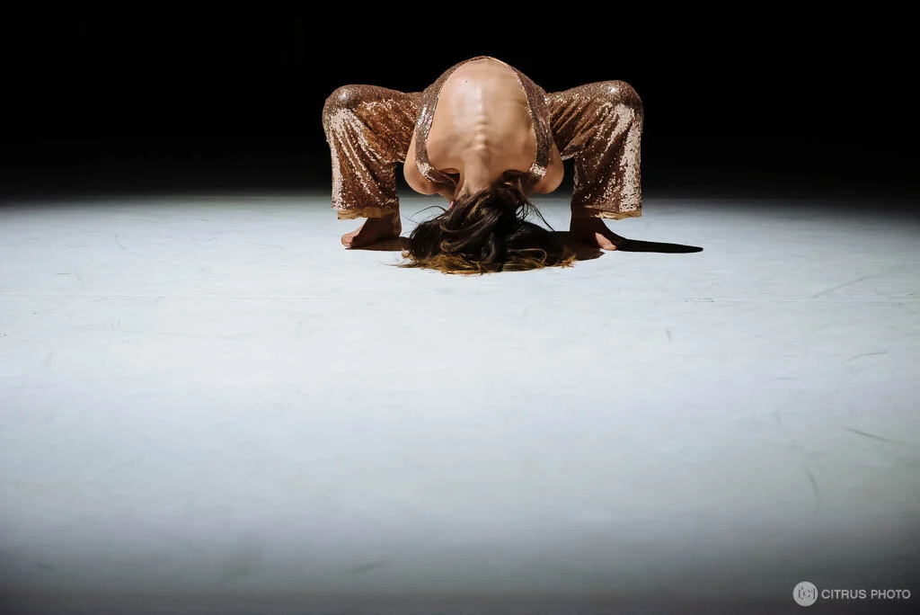 1.Verisimilitude Cover .jpg