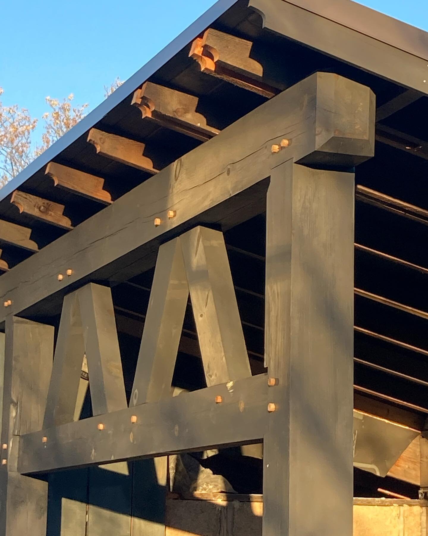 Sunlight and timber, always a great combination&hellip;.
#timber #naturalbuilding