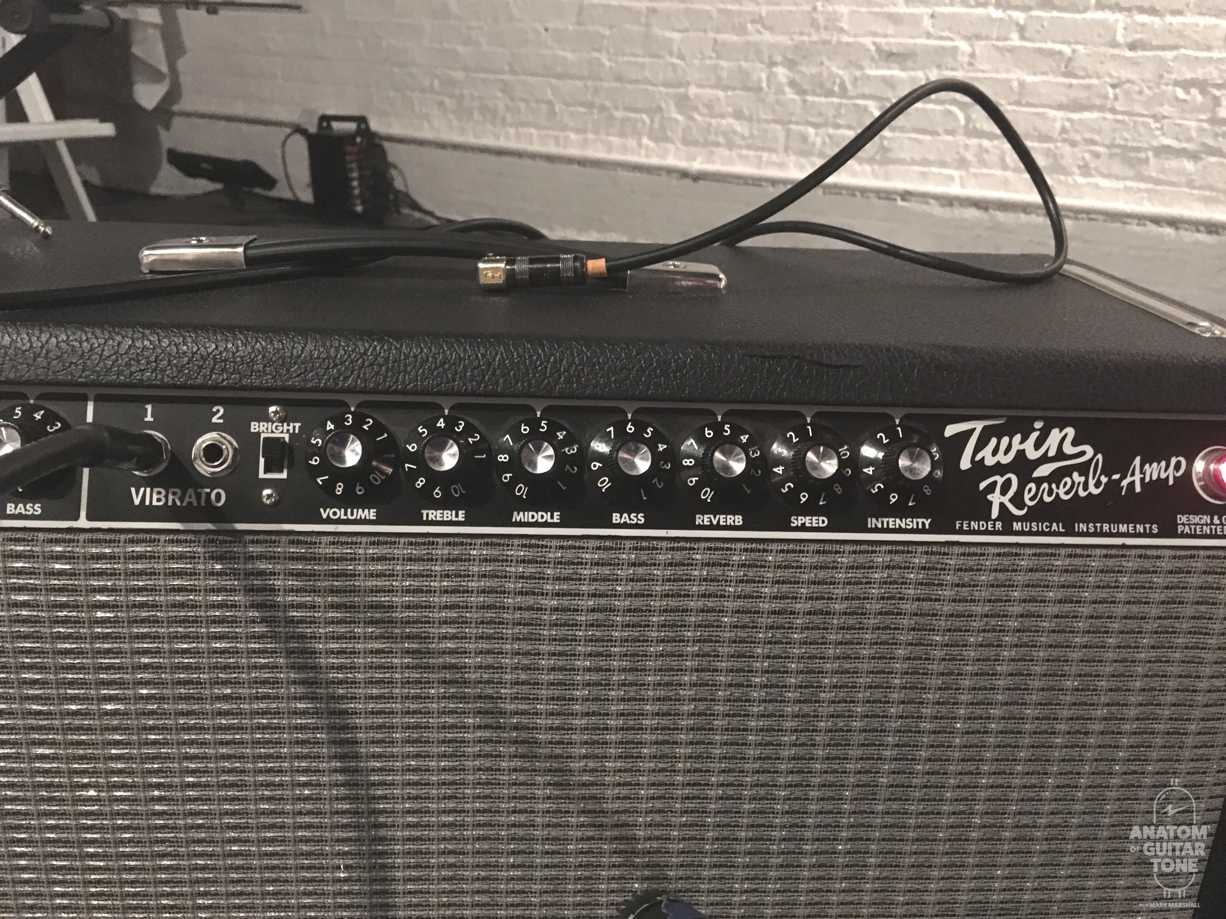 Fender Blackface Twin Reverb