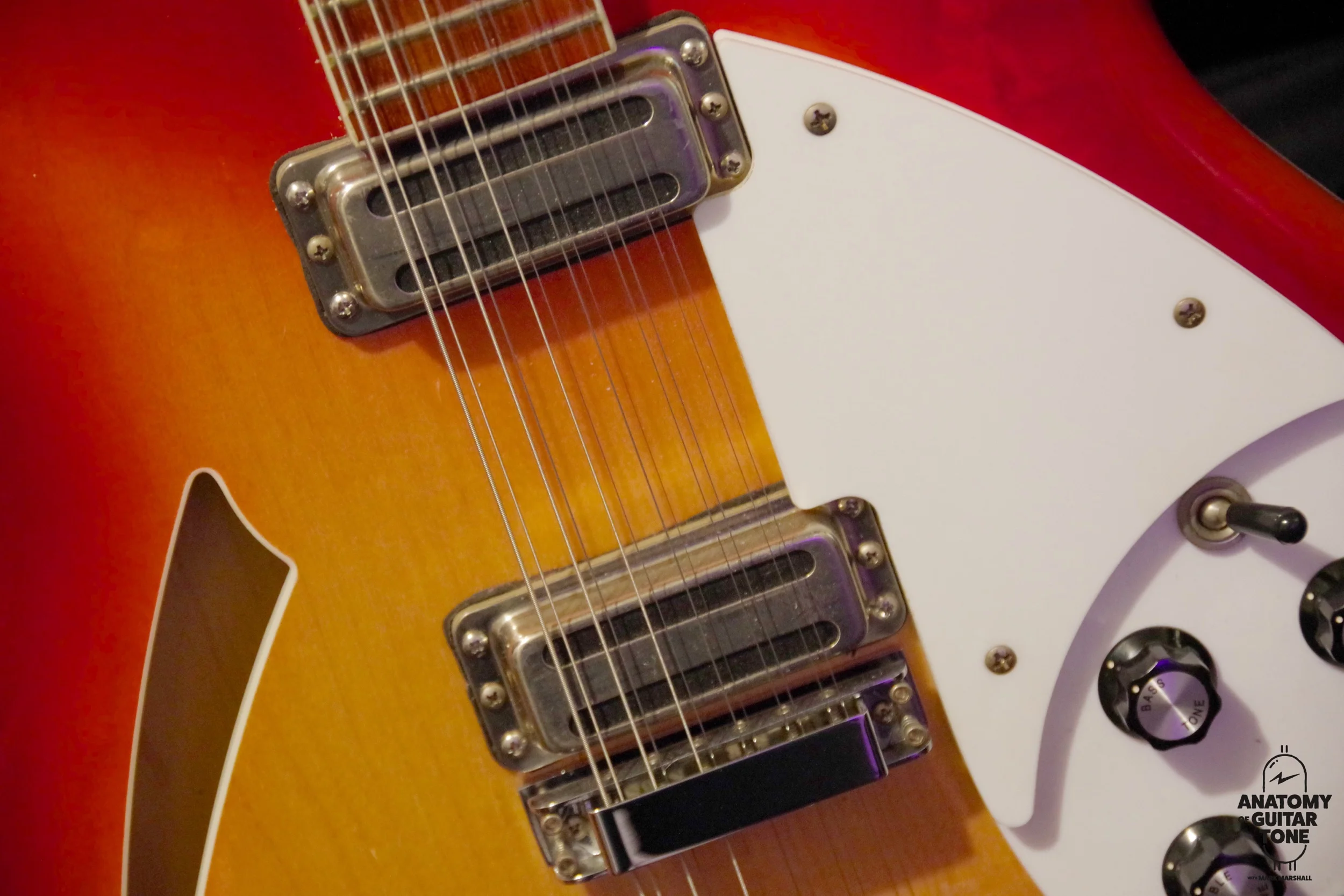2001 Rickenbacker 360/12 with Gemini Toaster pickups and vintage wiring