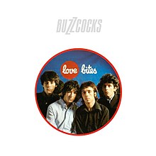 Buzzcocks Love Bites Record