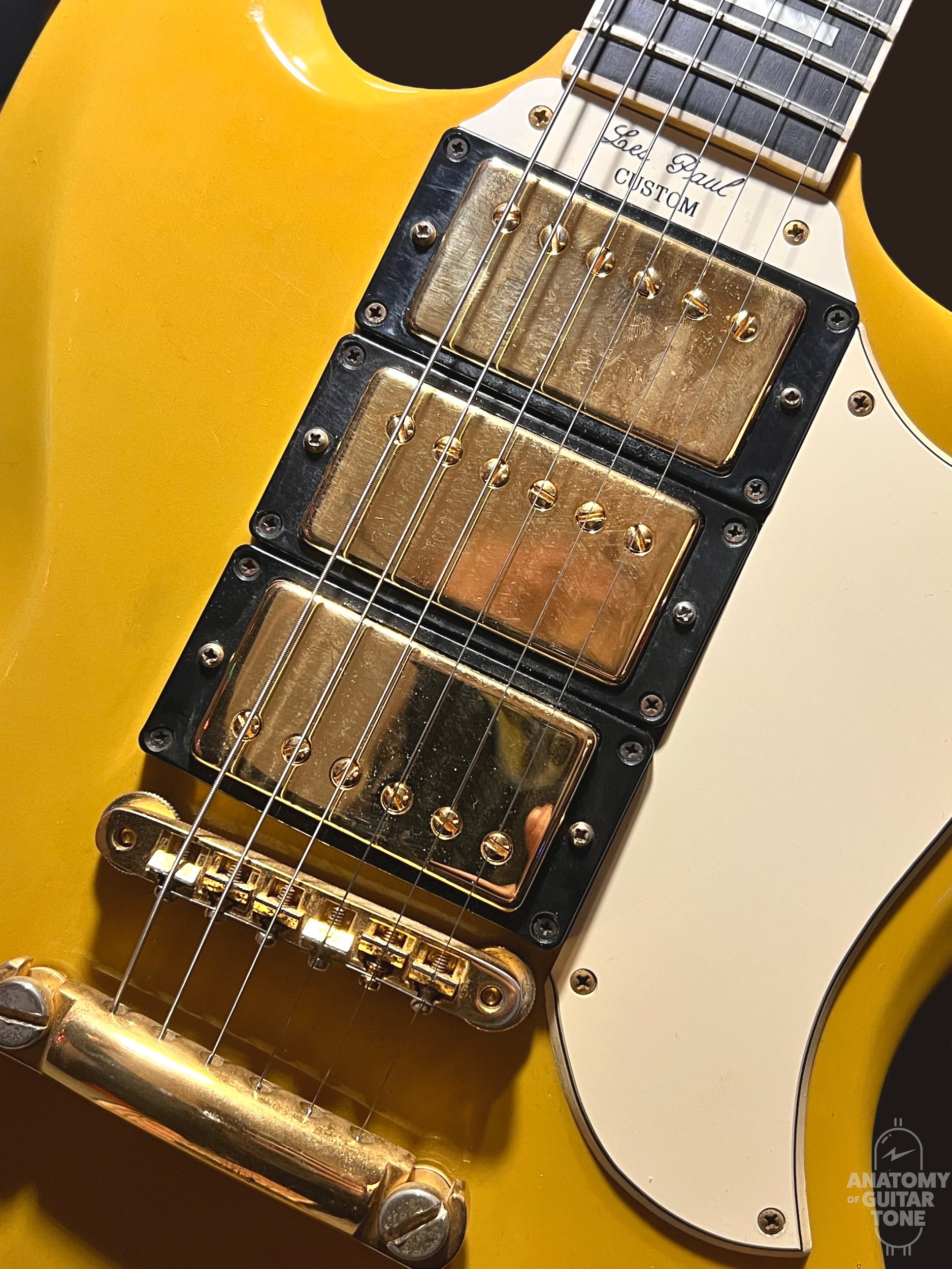 Performative Reverb Using the Chase Bliss CXM 1978 — Anatomy Performative Reverb Using the Chase Bliss CXM 1978 — Anatomy