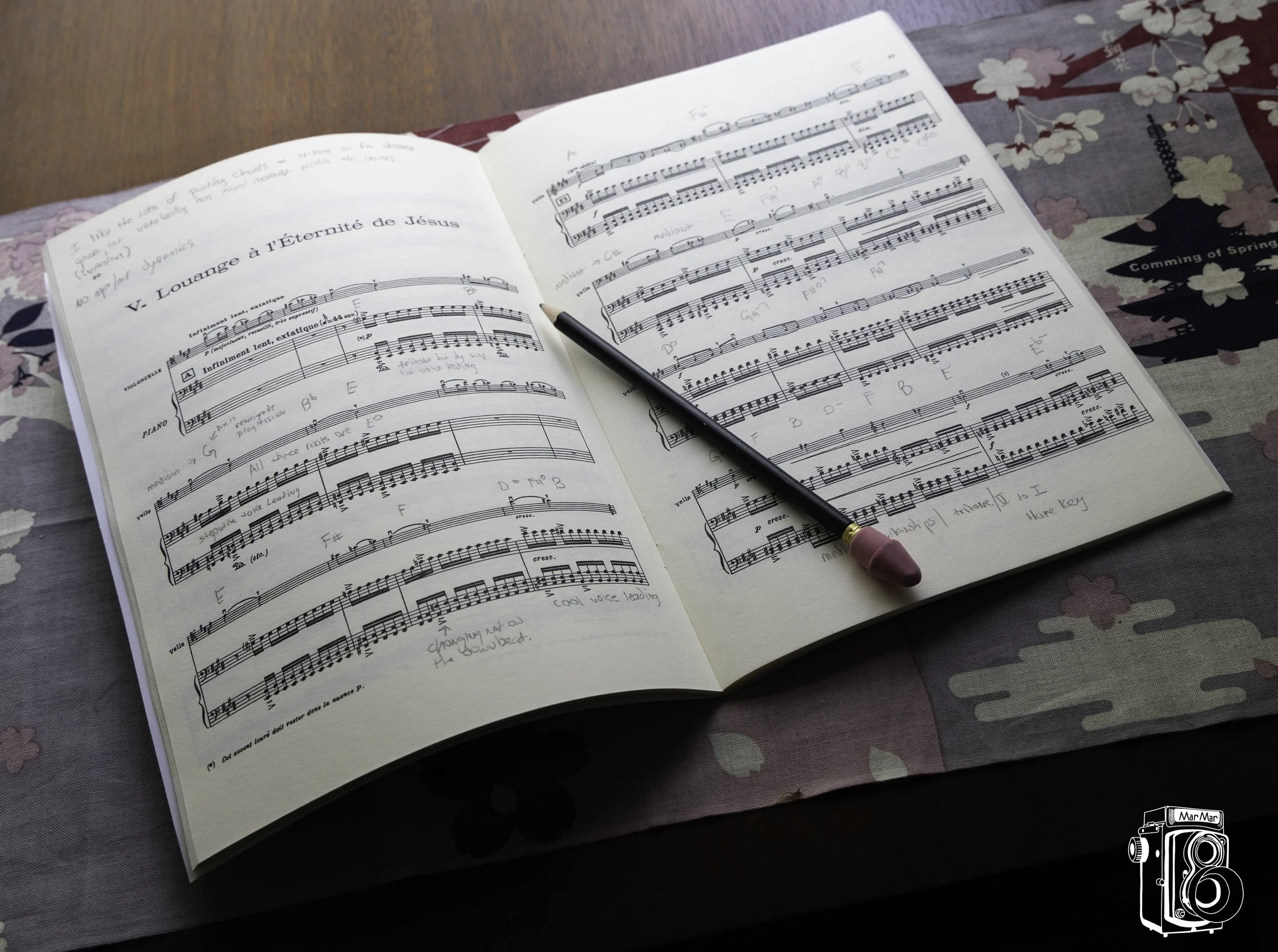 The Finer Details of Music Lessons