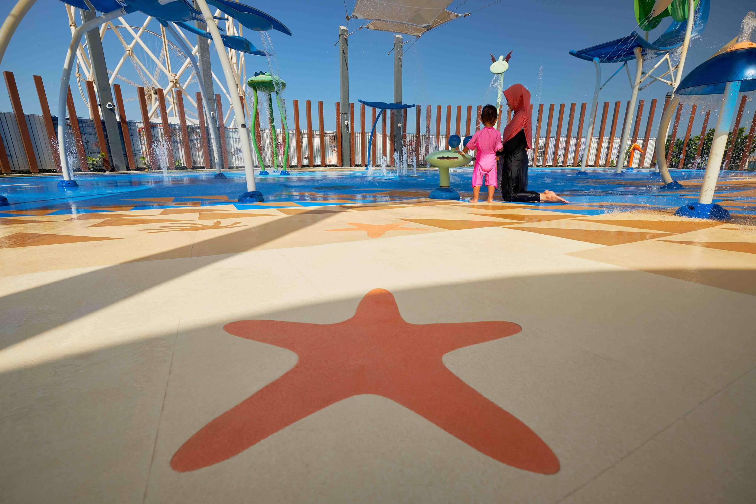 Jumeirah Beach starfish.jpg