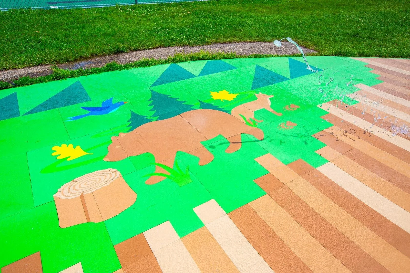 Cedarcrest Park_October 2023_69 (1).jpg