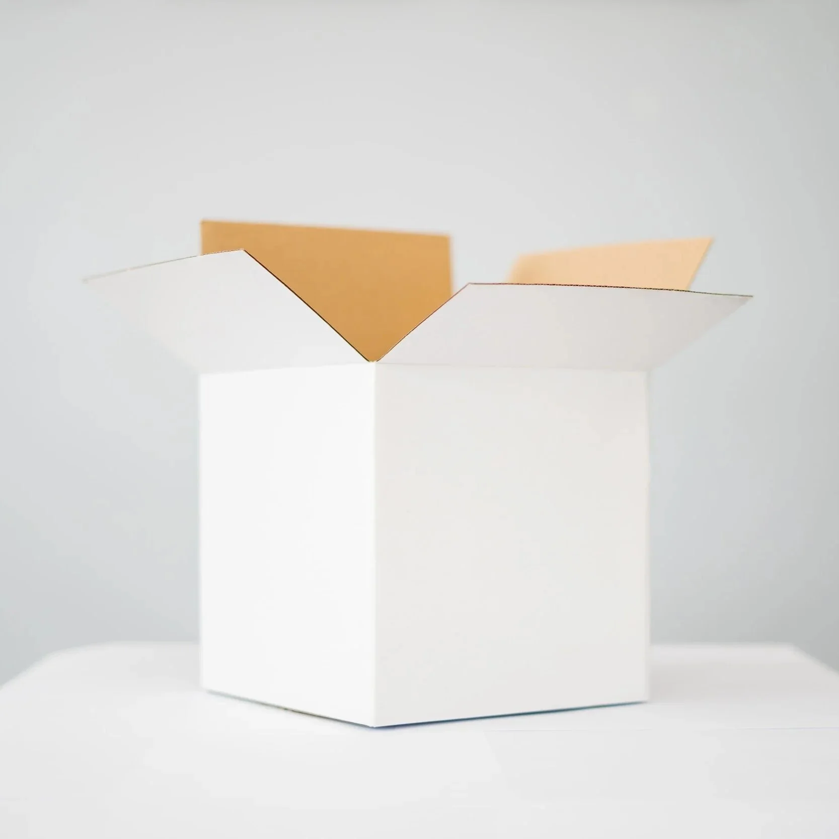 Expedited Shipping Add-On