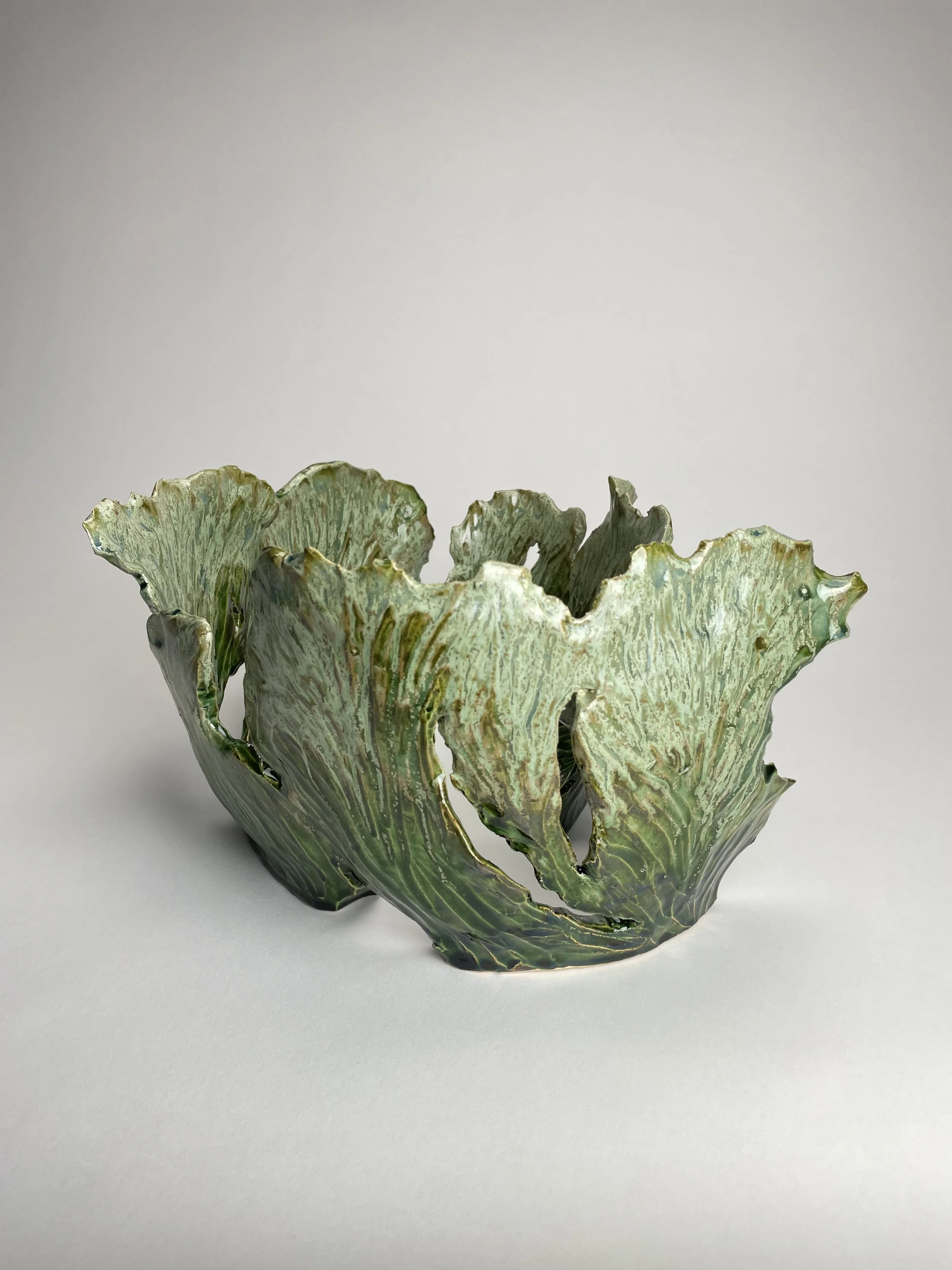 Photo Feb 18 2026, 2 48 36 PM.jpg