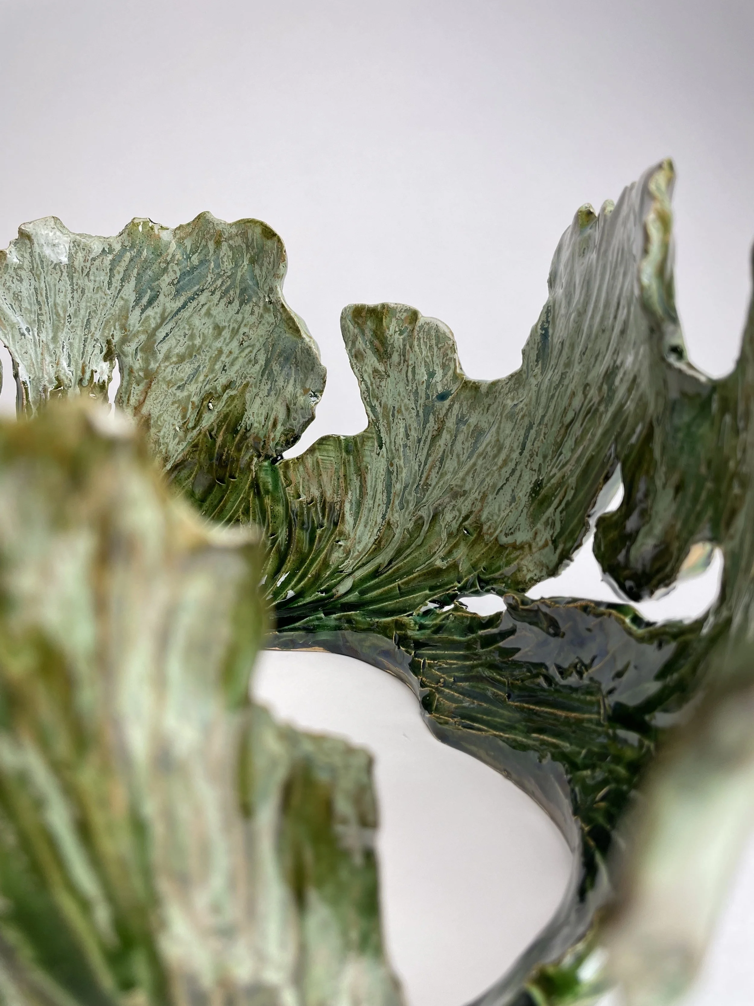 Photo Feb 18 2026, 2 53 17 PM.jpg