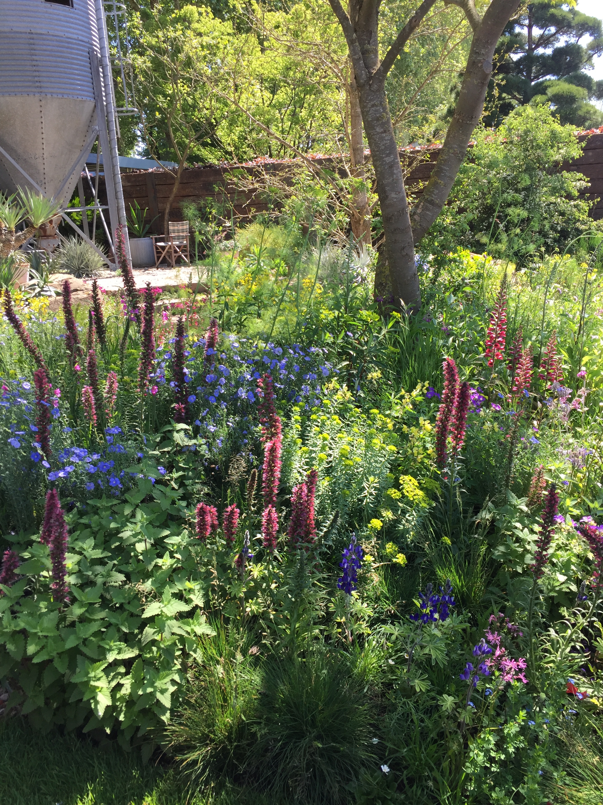 Chelsea 2019 Highlights