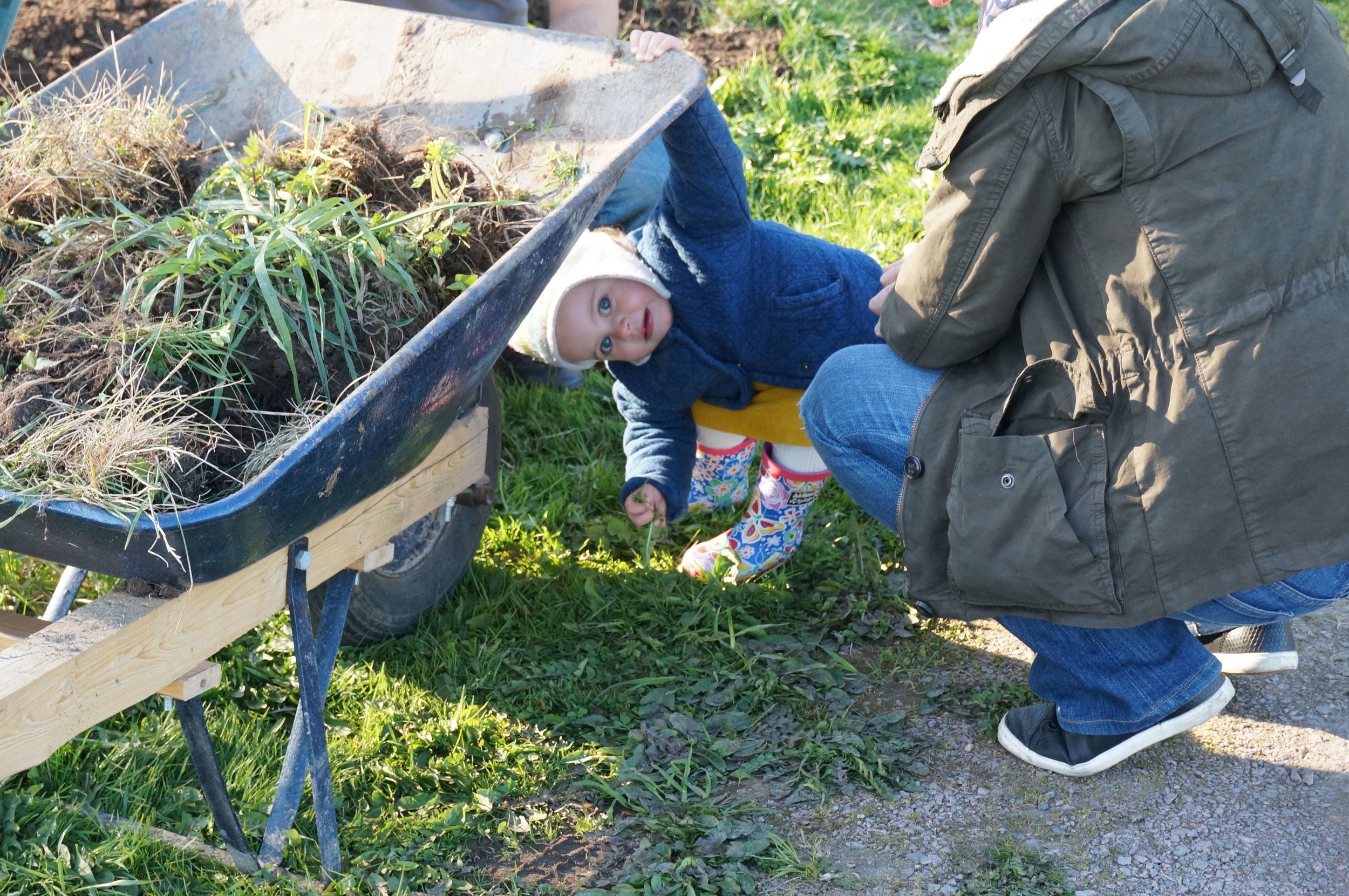 A Passion For Gardens