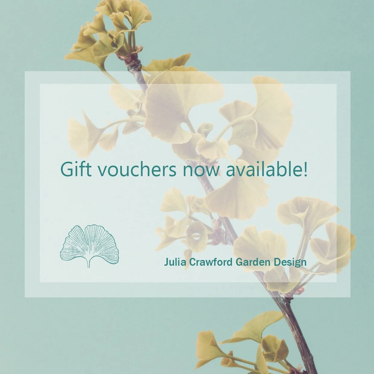 GIFT VOUCHERS NOW AVAILABLE!