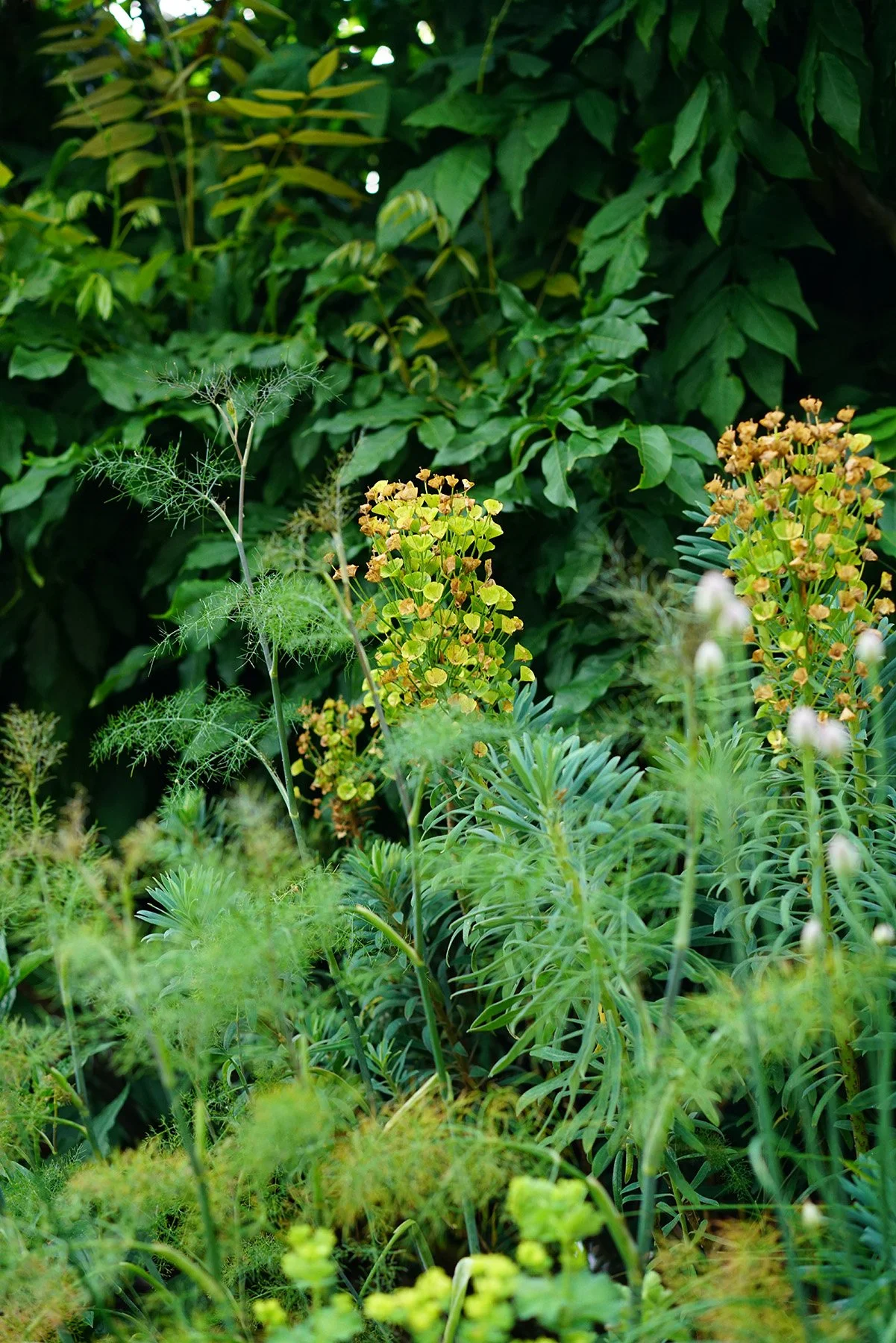 DSC07256_low res.jpg