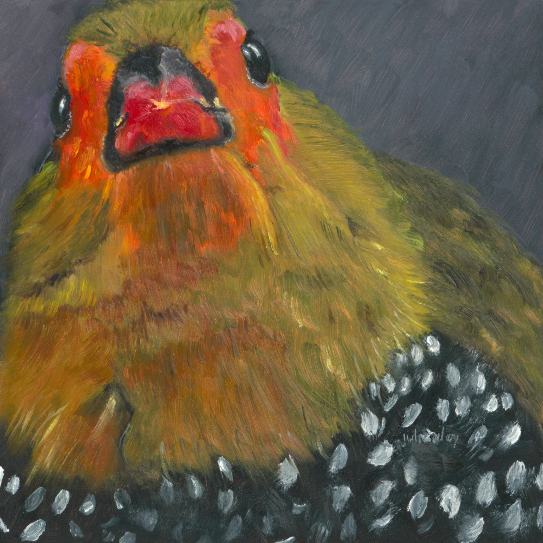 Green-Backed Twinspot Finch Print