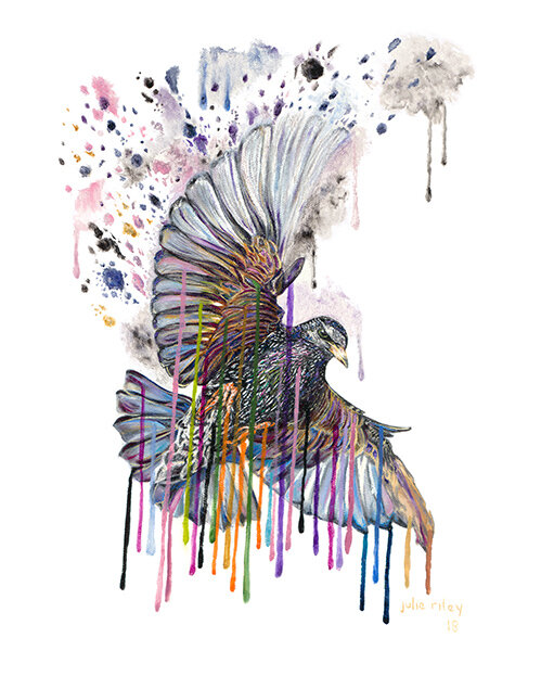 STARLINGS DESERVE RESPECT TOO