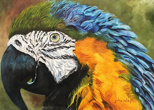 MACAW