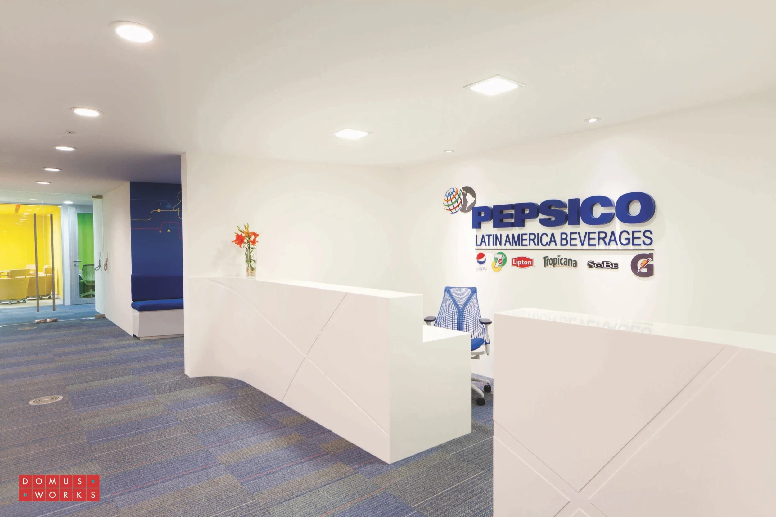 pepsico%2B02%2Bcopy.jpg