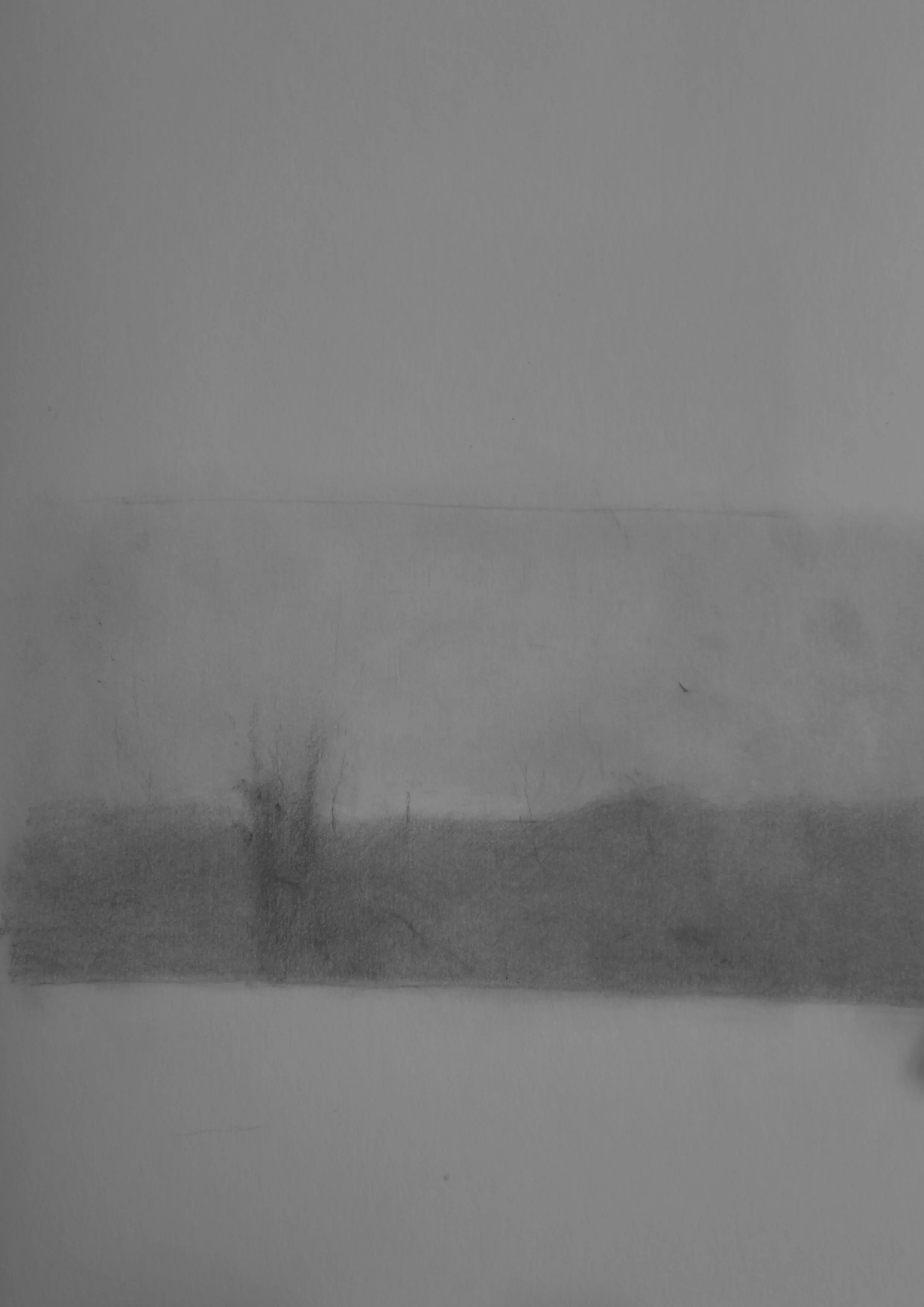 未标题-1.jpg