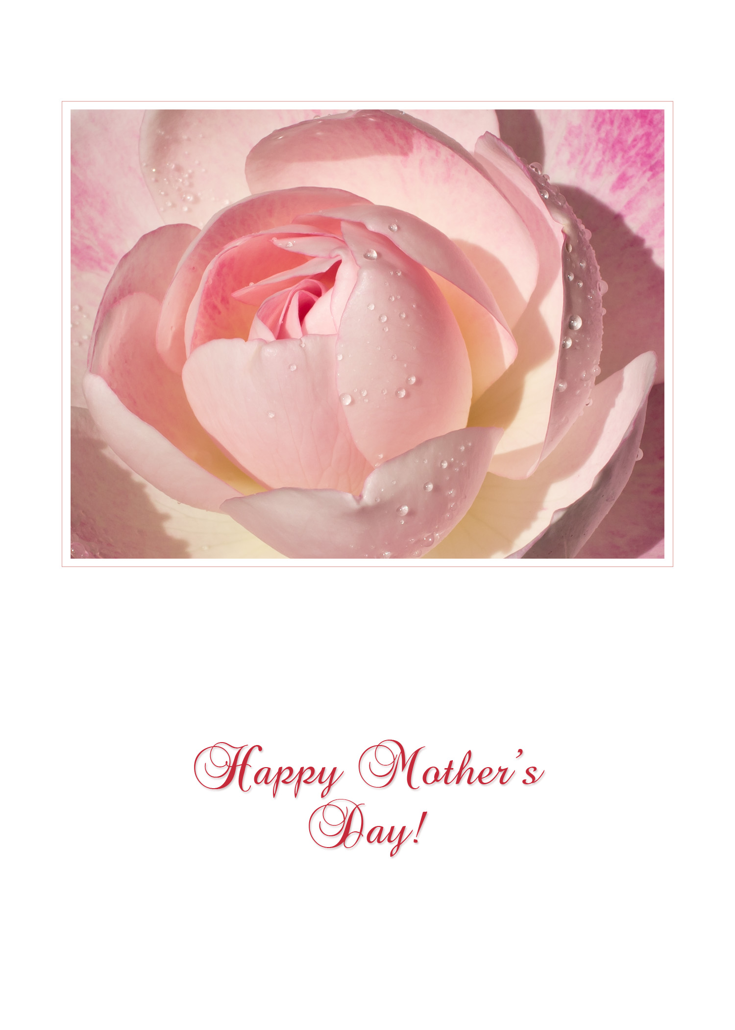 MothersDay_pink_rose_frame5x7.jpg