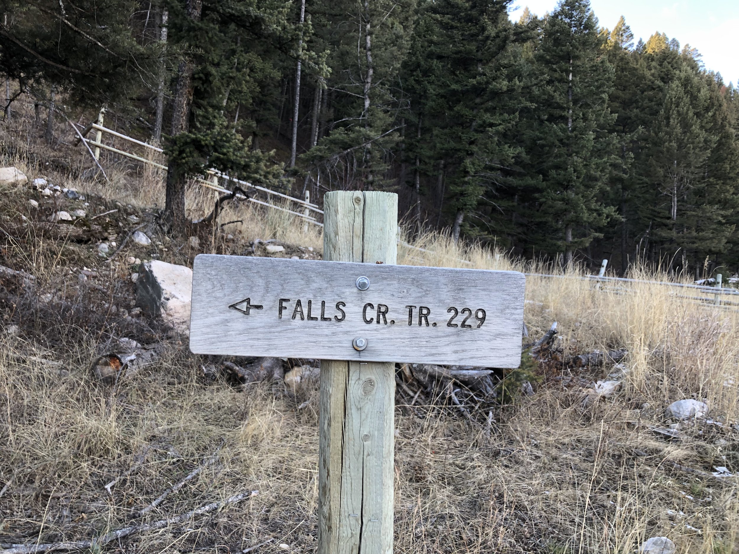 Wild Montana's Trail Buddy Inspired by Scapegoat Wilderness – Wild