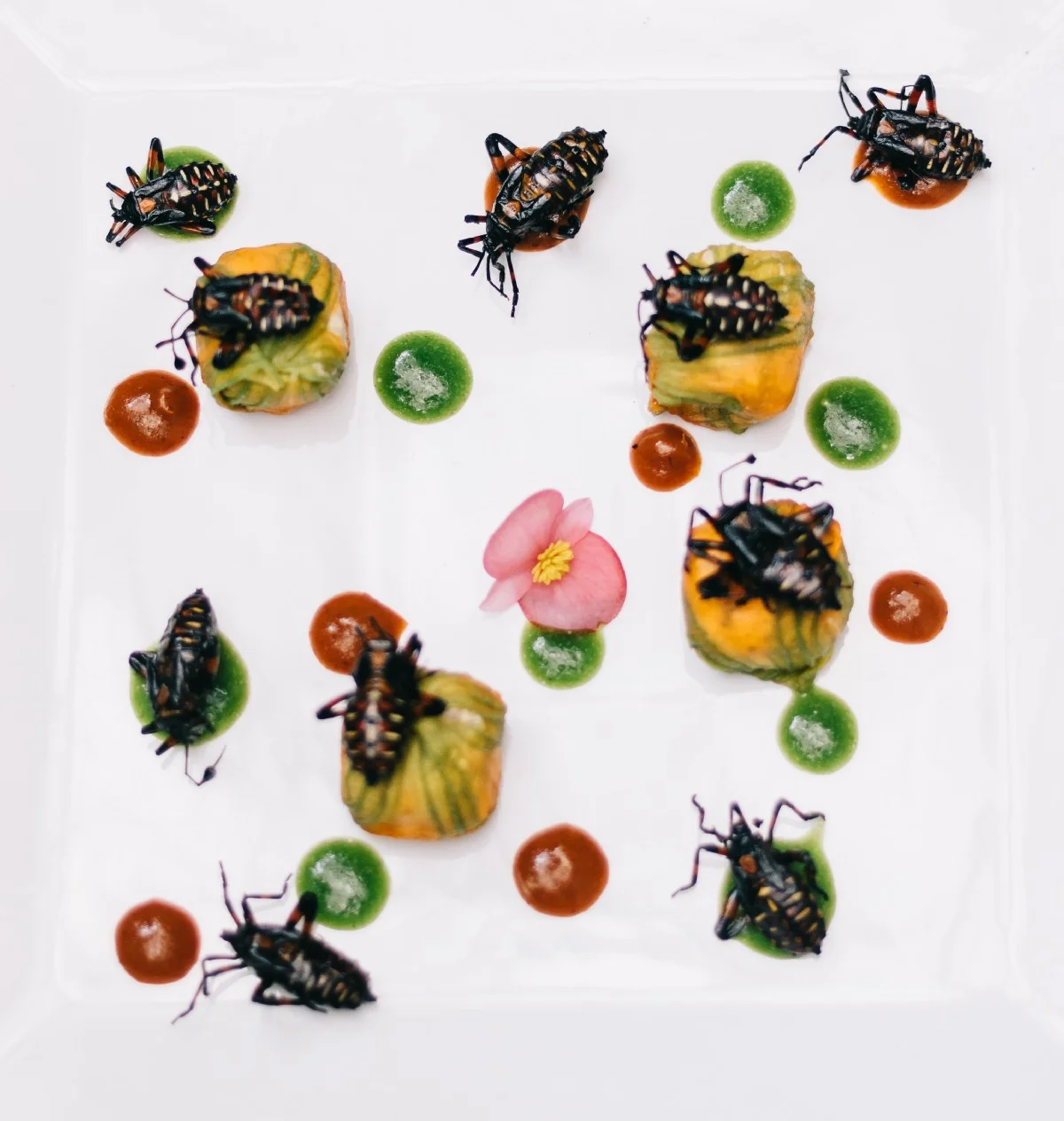 Cocopaches, Limosneros Restaurante, <Travelhund>