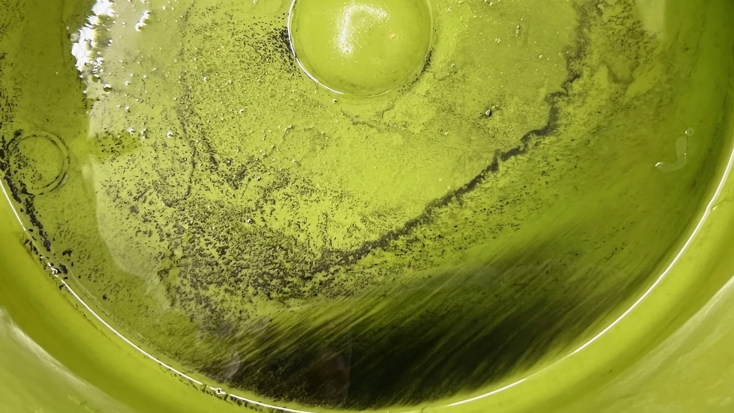 How To Replace Fork Oil and Springs — Ulterior Moto