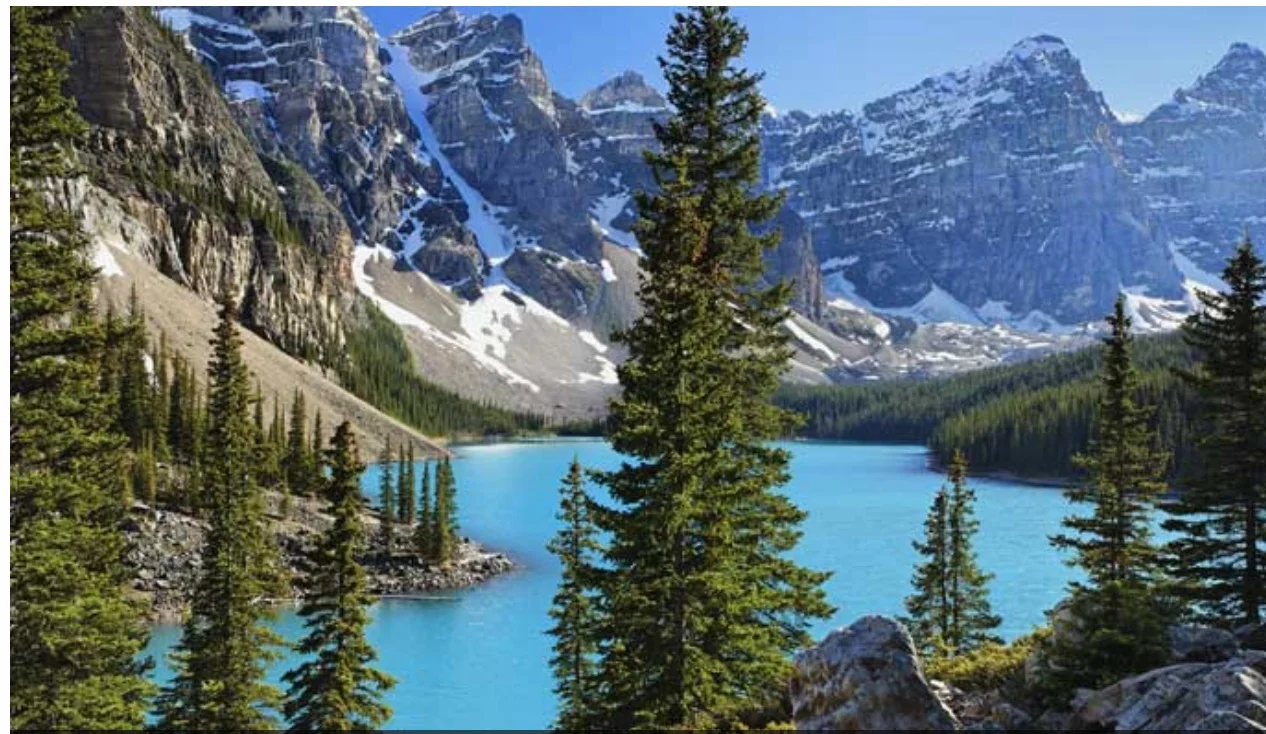 Recommended Reads for the Week of May 10th