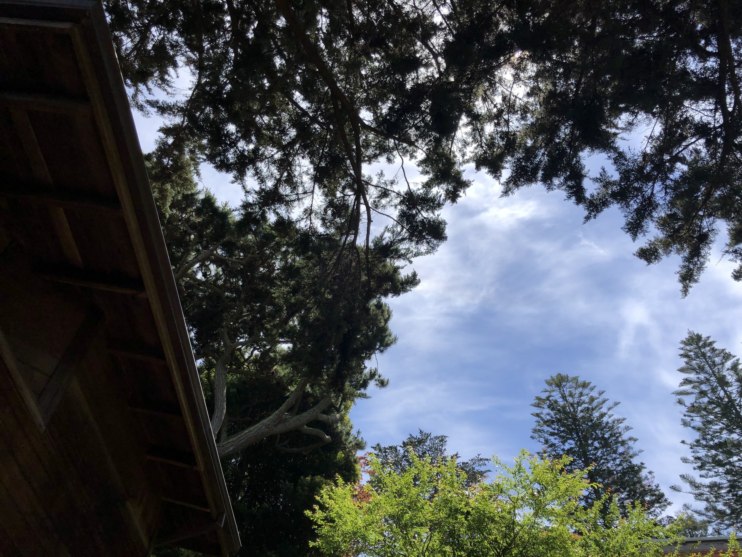IMG_1874.jpeg