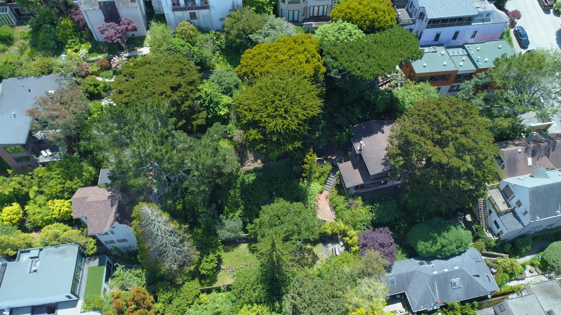 1284 Stanyan St.png