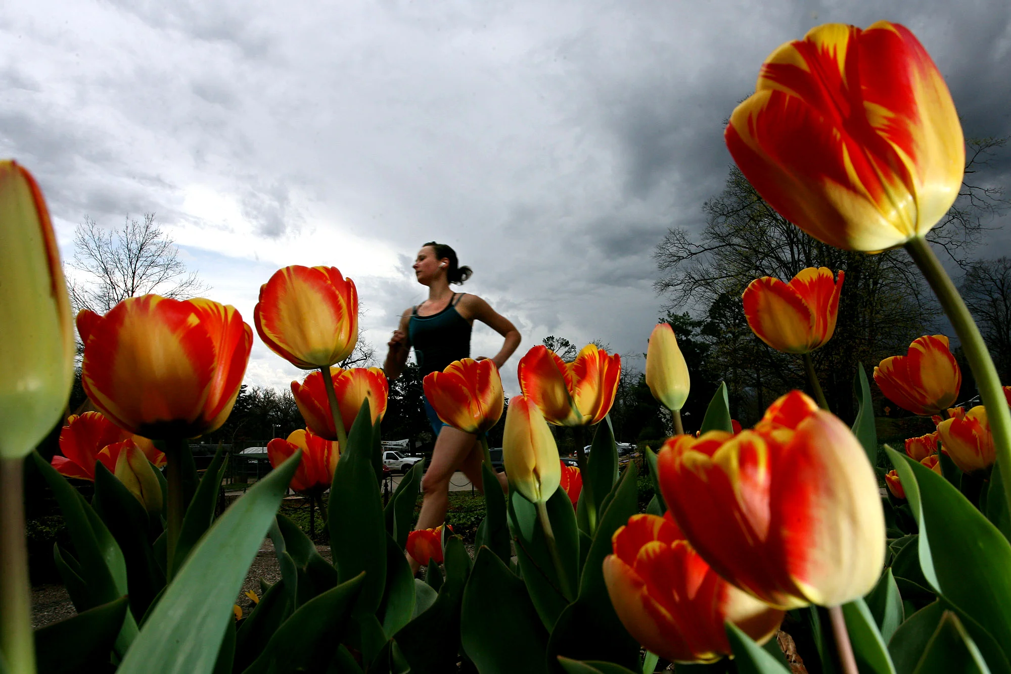 Spring Runner, Fayetteville, Arkansas