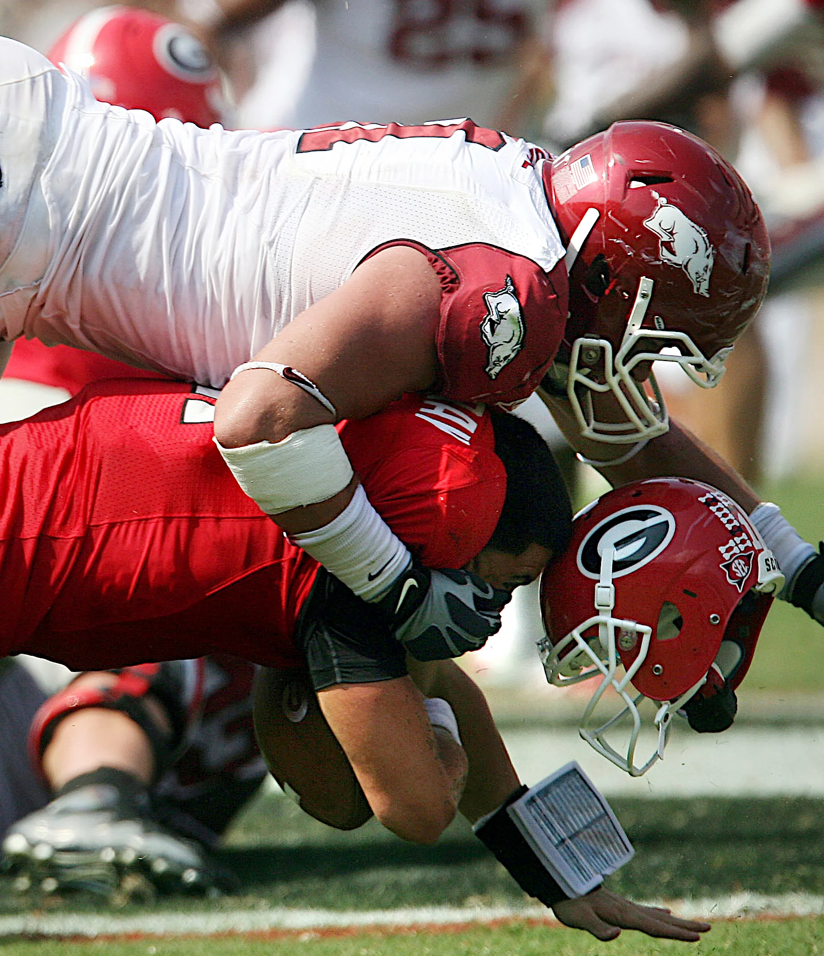 hogs BIG INSIDE(02).JPG