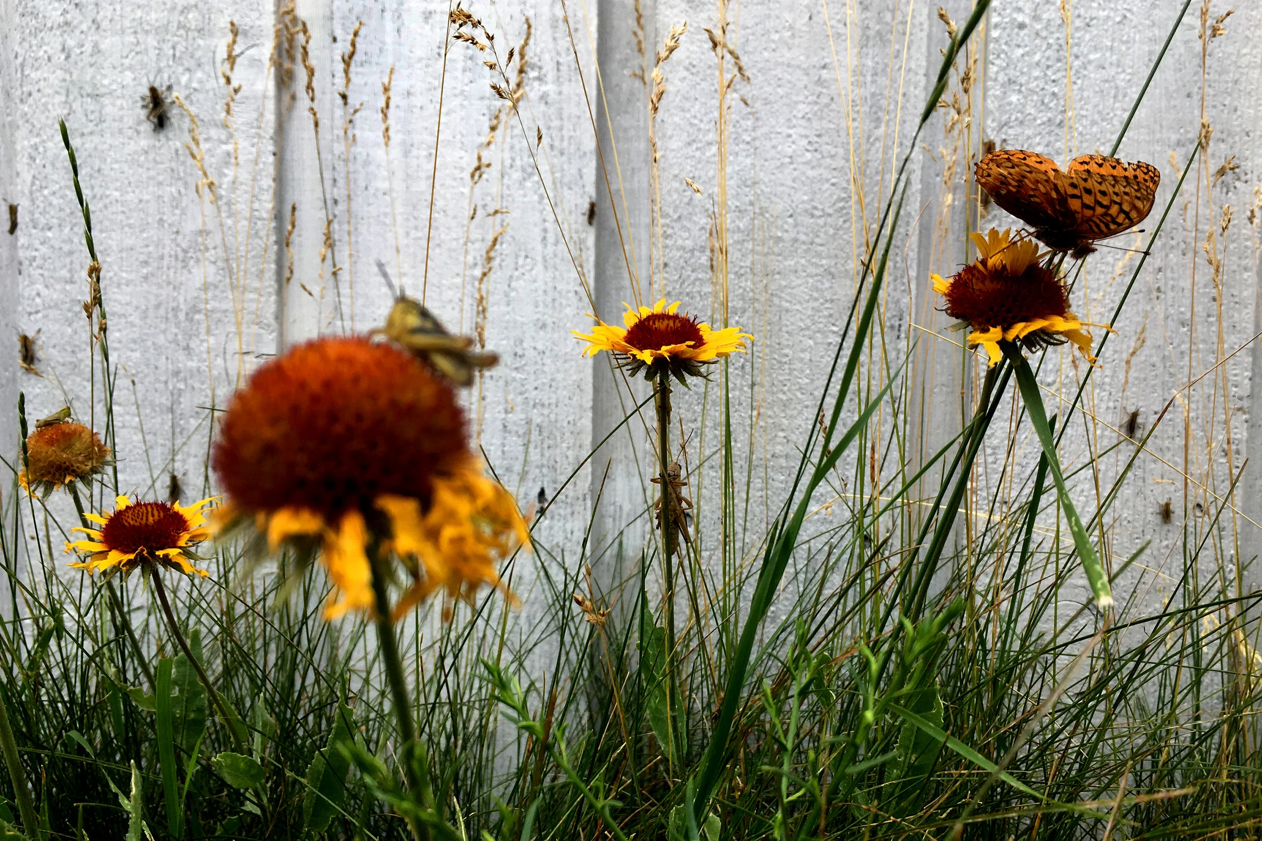 Phantom Canyon Preserve, Colorado