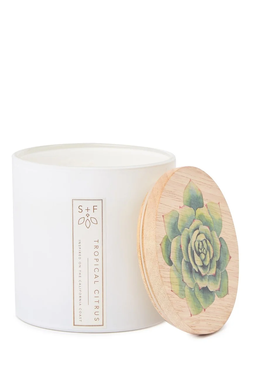 Sand + Fog - Tropical Citrus 