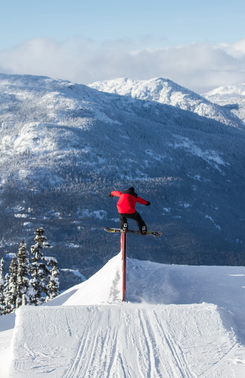 Torstein Horgmo,  BackBoard.jpg