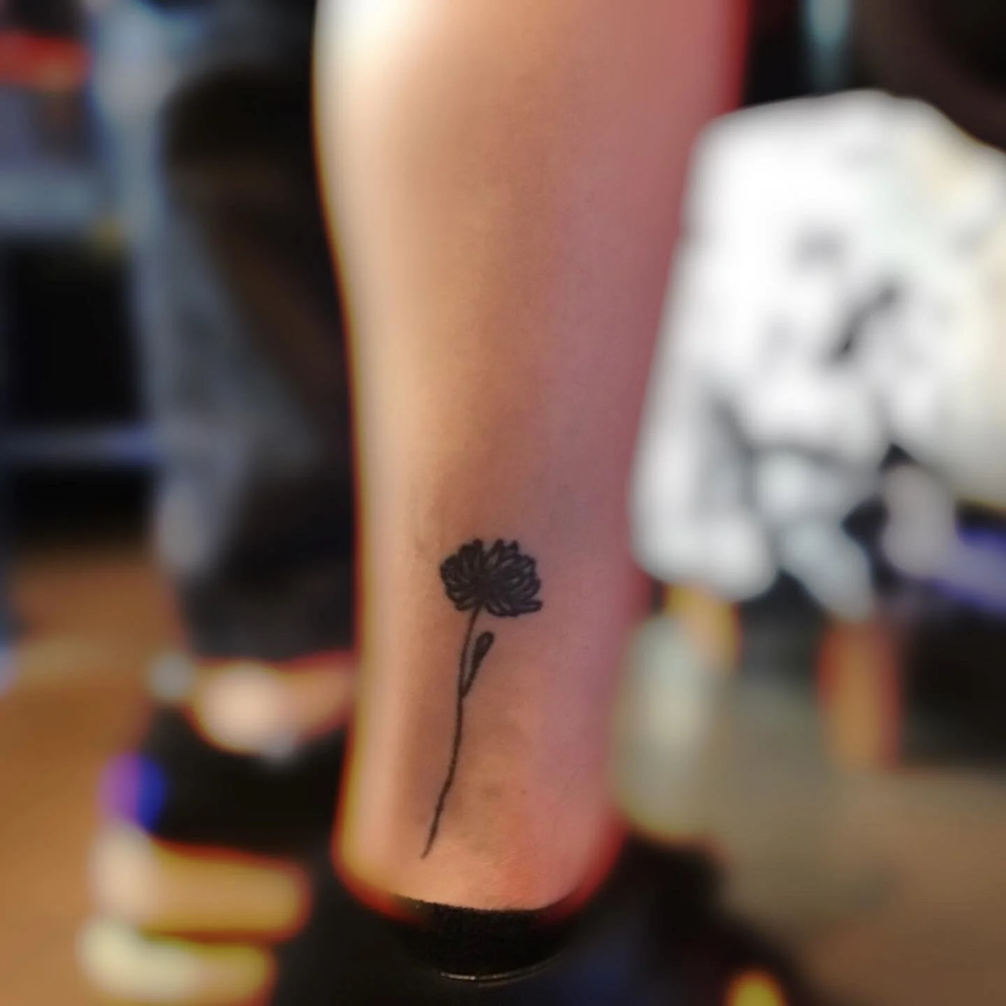 cover up original.JPG