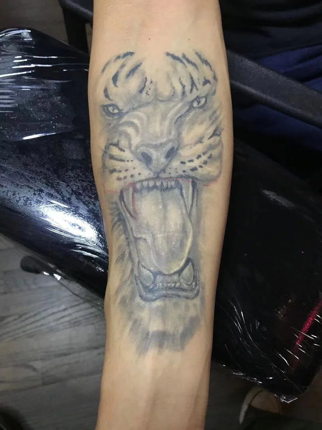 Fong Cover up tiger.JPG