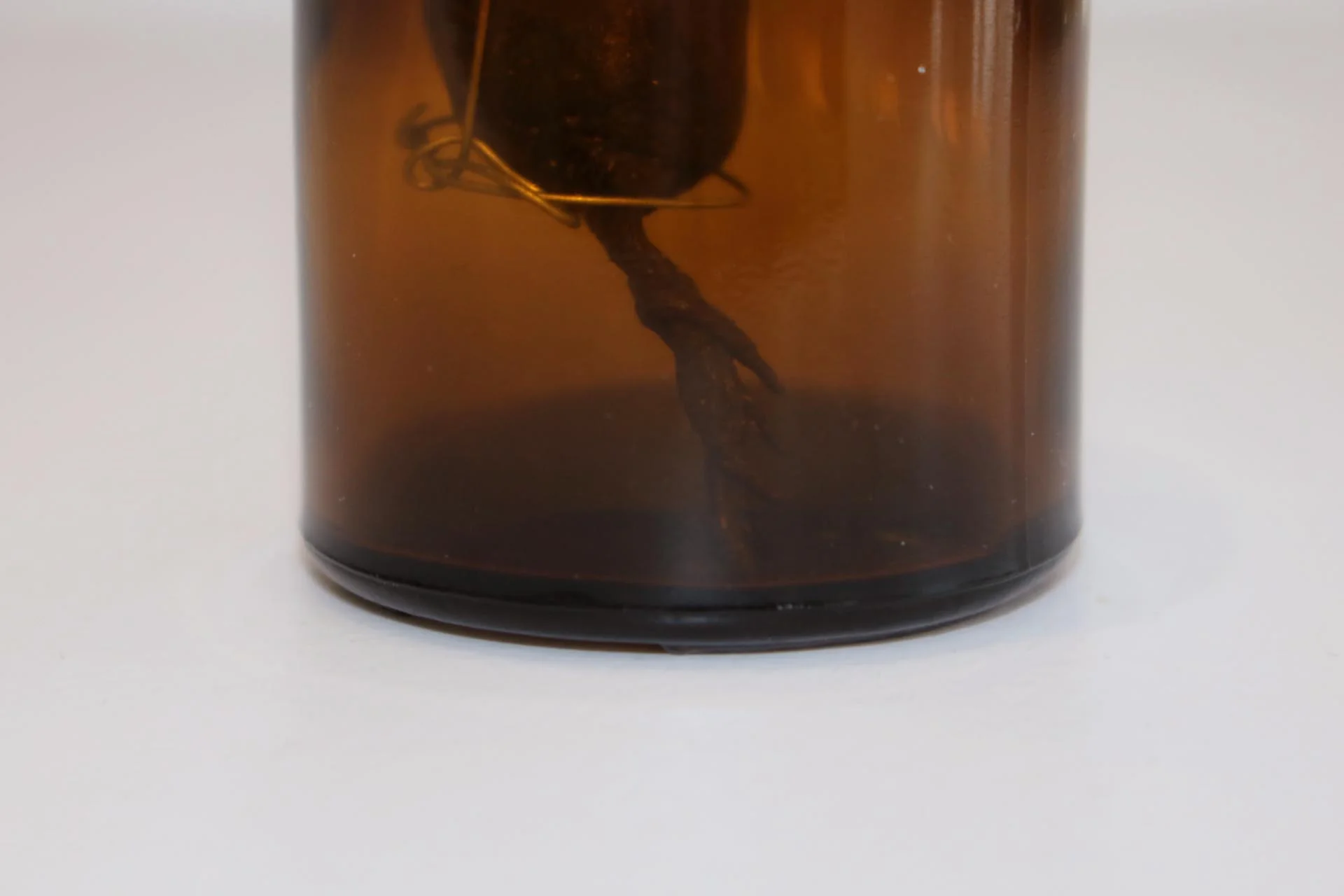 生石花 细节.jpg