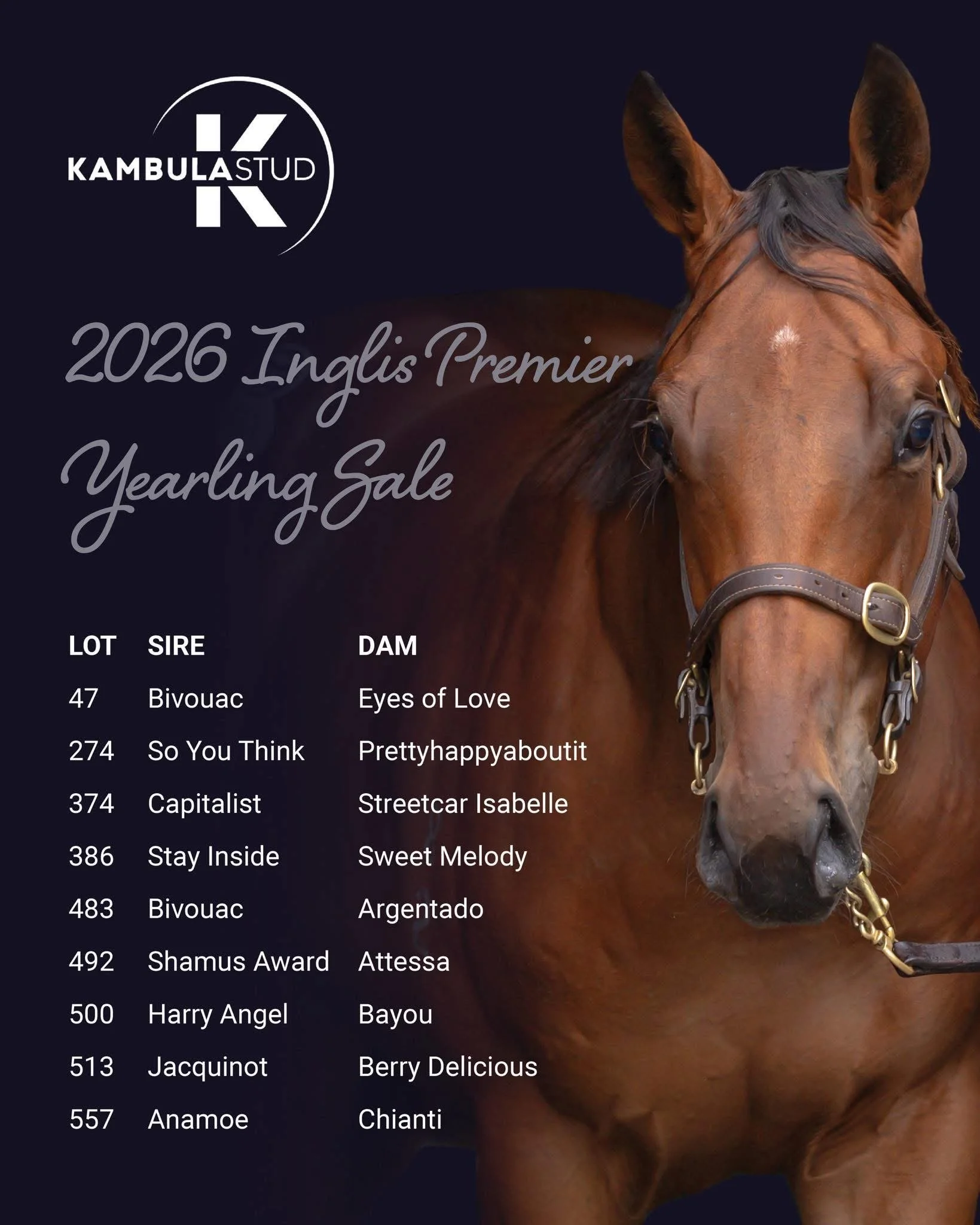 2026 Inglis Premier Yearling Sale