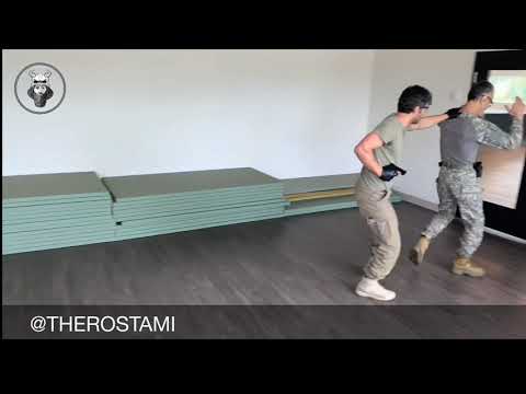 ROSTAMI SELF DEFENSE- Gun disarm