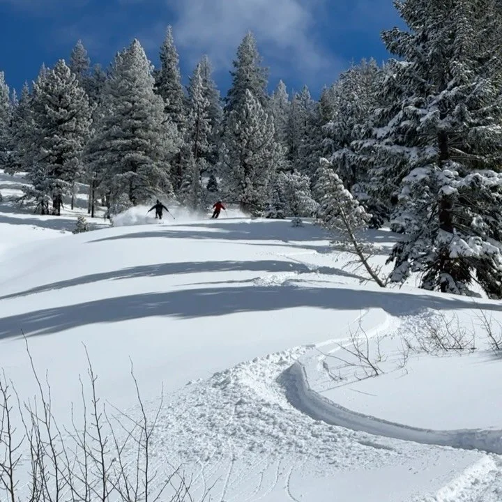 We just received our first real taste of winter in the Sierra, and while we might not be feeling like changing seasons just yet, it&rsquo;s never to early to start looking forward to putting skis on our feet again.
While last season seems like a blur