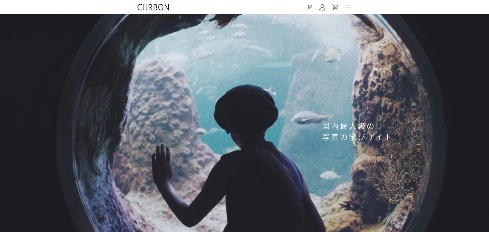 C2C Curbon.jpg