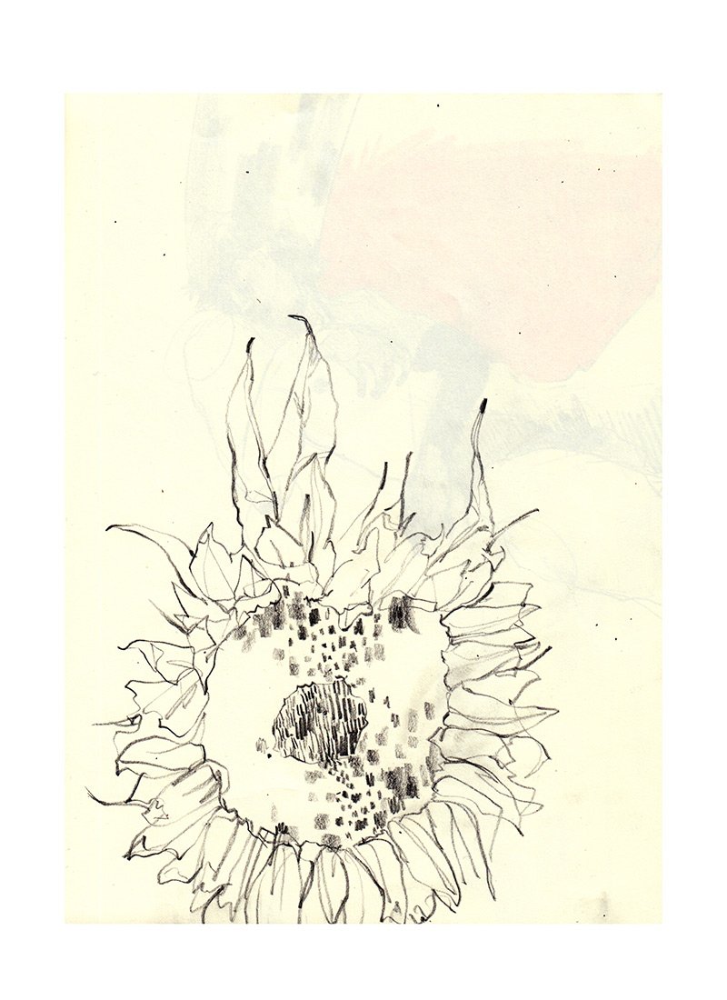 sunflowers-sketchbook.jpg