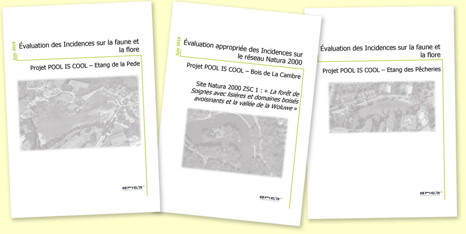 eai-overview.png